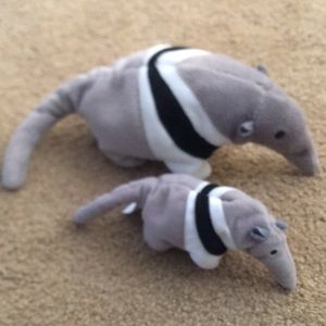 ty Beanie Baby and Teenie Beanie Ants